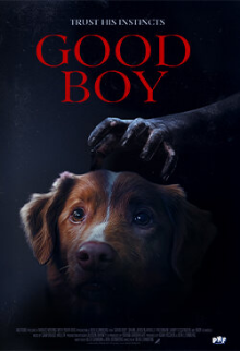 Good Boy